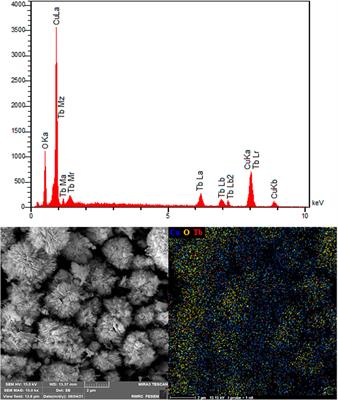 Development of the DNA-based voltammetric biosensor for detection of vincristine as anticancer drug